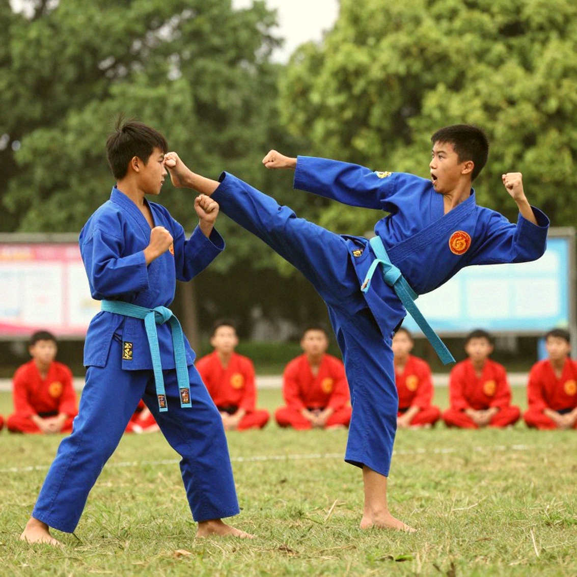 Khi võ sĩ Việt Nam bước ra thế giới: Bài toán của lòng dũng cảm và dữ liệu