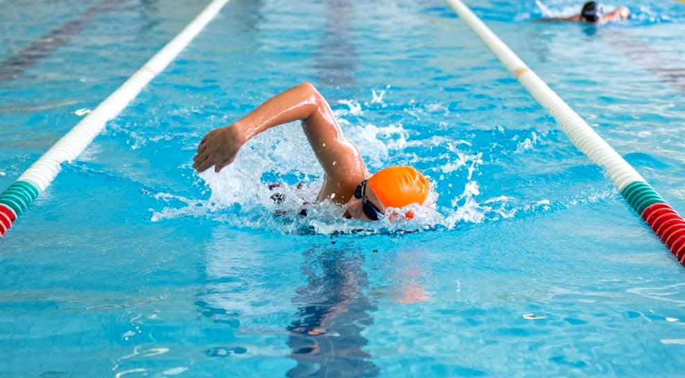 ASCA World Clinic 2026: A Race Against Time Before the Certification Revolution ASCA World Clinic 2026: A Race Against Time Before the Certification Revolution