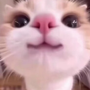 Malr1ne